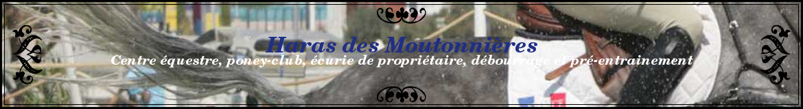 Haras des Moutonnières